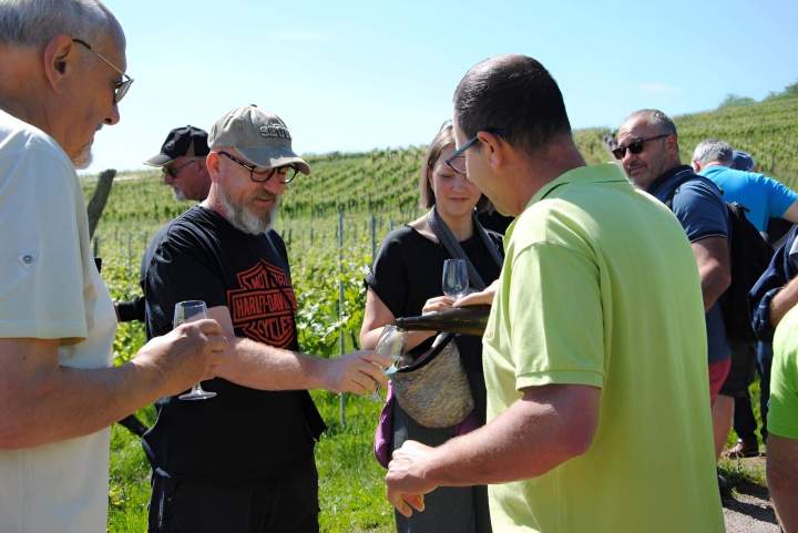 Dégustation de vins près de Colmar