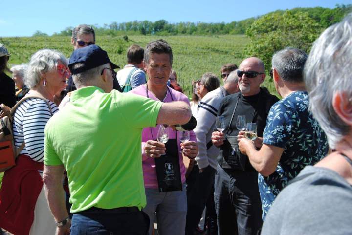 Pique nique terroir Alsace Colmar