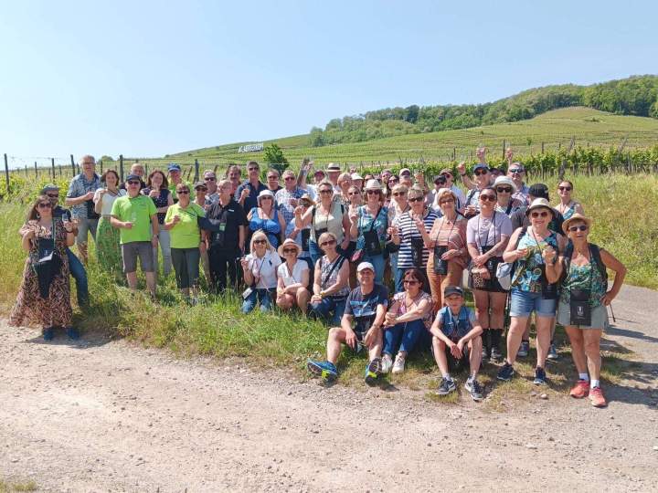 Pique nique vins d’Alsace Colmar