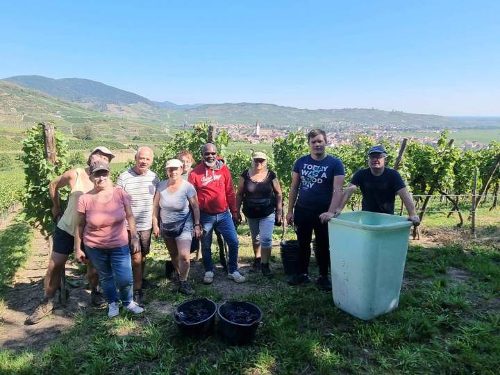 Artisan vigneron Colmar
