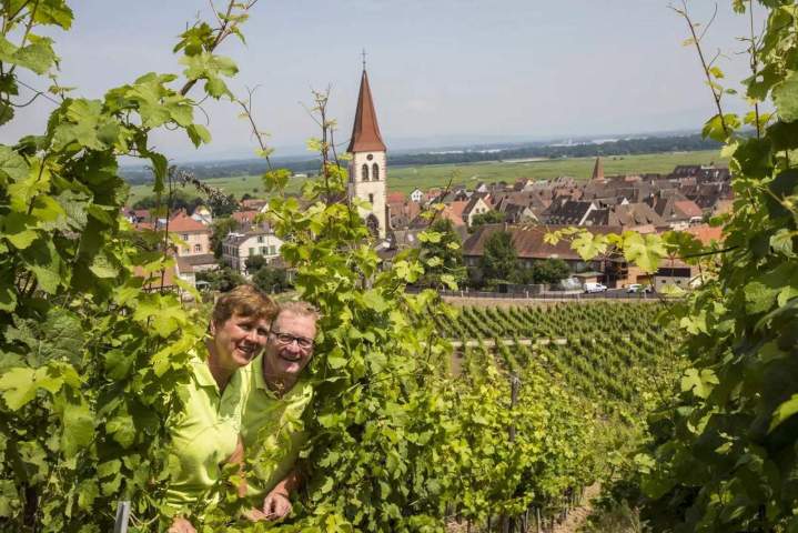 Artisan vigneron Colmar