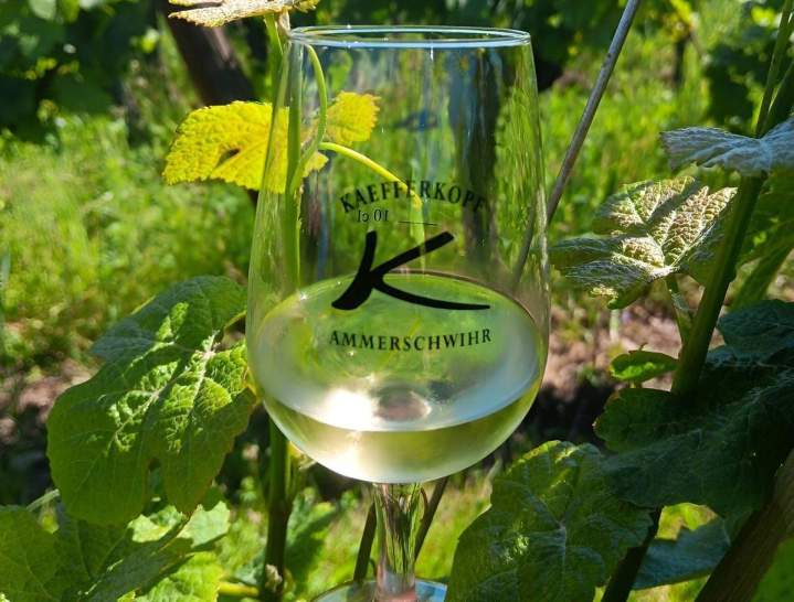 Domaine viticole près de Colmar