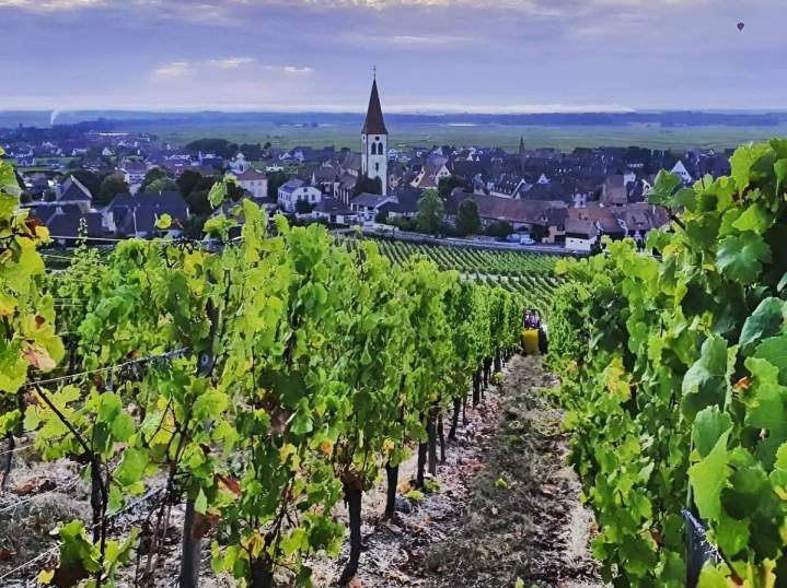 Grand Cru Kaefferkopf Ammerschwihr