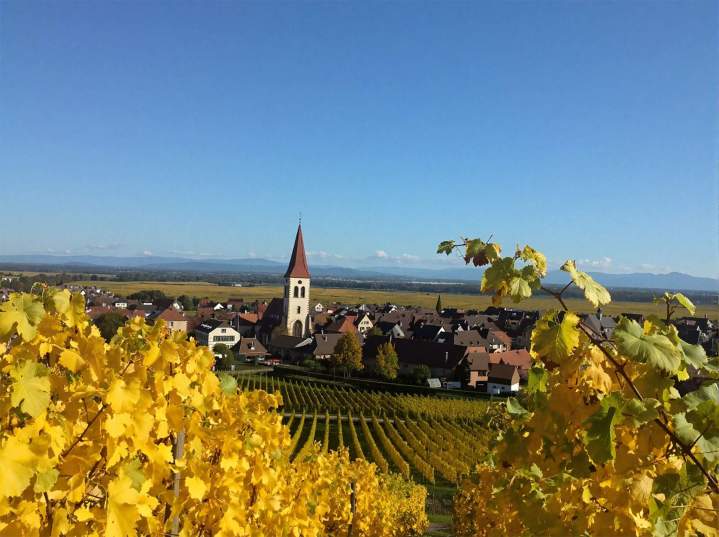 Domaine de vin Colmar